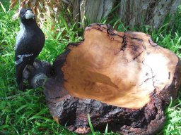 Natural Edge Fruit Bowl